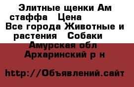 Элитные щенки Ам.стаффа › Цена ­ 25 000 - Все города Животные и растения » Собаки   . Амурская обл.,Архаринский р-н